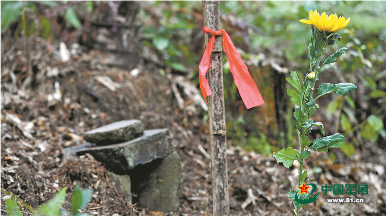 三块青砖，一根竹竿，一条红飘带，就标记了一处红军墓冢。 李 涛摄