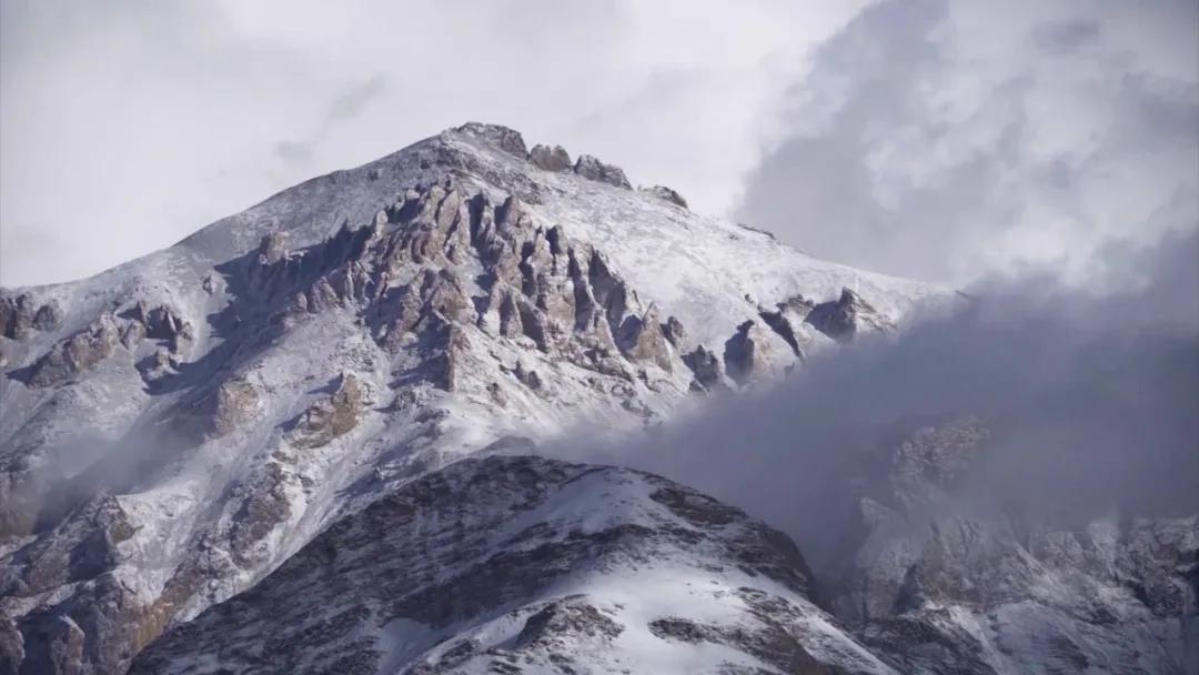 边境冲突中誓死捍卫国土，5名官兵被授予荣誉称号、记一等功！