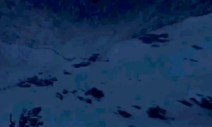 微信图片_20211101143628.gif