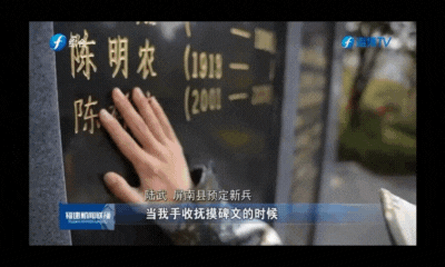 6.gif