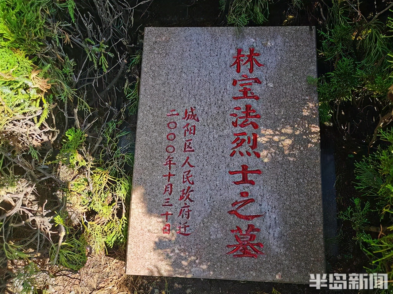寻·动 “二哥，弟弟来看你了！” 青岛日照两地联动帮助烈士找到家人