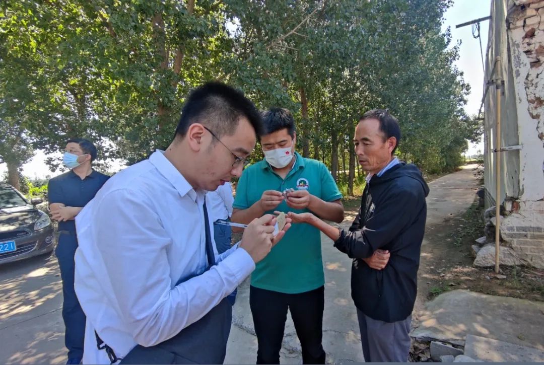 英雄回家路上，一个个谜团正在解开......