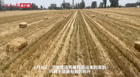 1.gif